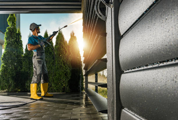 Best Roof Washing  in Mariposa, CA
